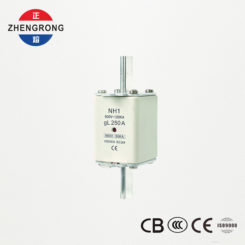 CE & IEC Certified Fuse Link NH1 500V 250A Kapasitas Pecah Tinggi
