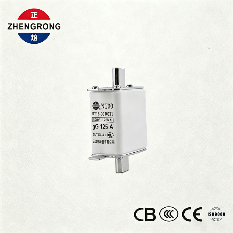 Sekring Sekring NT00 125A Kapasitas Pemecah Tinggi - 500V 120kA Keramik gG Fuse Link