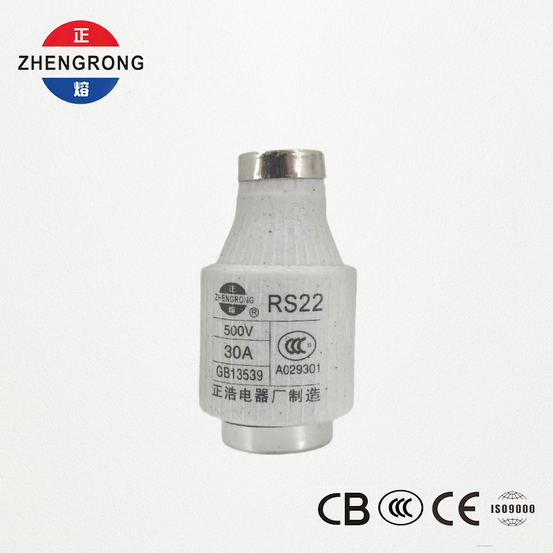 RS22 30A 500V Fast-Acting Screw-Type Fuse | Proteksi Semikonduktor