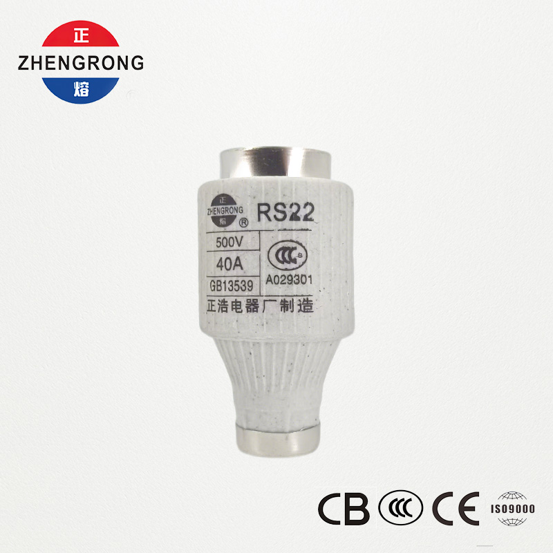 RS22 40A 500V Fast-Acting Screw-Type Fuse | Proteksi Semikonduktor
